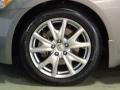 Platinum Graphite - G 37 x S Sedan Photo No. 32