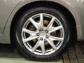 Platinum Graphite - G 37 x S Sedan Photo No. 33