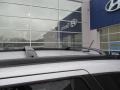 Bright Silver - Santa Fe GLS 4WD Photo No. 4