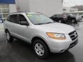 Bright Silver - Santa Fe GLS 4WD Photo No. 6