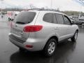 Bright Silver - Santa Fe GLS 4WD Photo No. 8