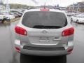 Bright Silver - Santa Fe GLS 4WD Photo No. 10