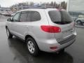 Bright Silver - Santa Fe GLS 4WD Photo No. 11