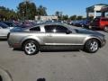 2008 Vapor Silver Metallic Ford Mustang V6 Premium Coupe  photo #8