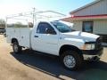 Bright White - Ram 2500 ST Regular Cab 4x4 Photo No. 7