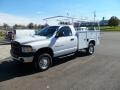 Bright White - Ram 2500 ST Regular Cab 4x4 Photo No. 8