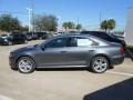Platinum Gray Metallic - Passat TDI SE Photo No. 4