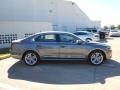 Platinum Gray Metallic - Passat TDI SE Photo No. 8