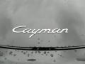 2007 Porsche Cayman Standard Cayman Model Marks and Logos