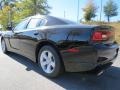 Pitch Black - Charger SE Photo No. 2