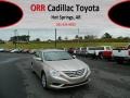 Camel Pearl - Sonata GLS Photo No. 1