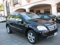 2009 Black Mercedes-Benz ML 350  photo #28