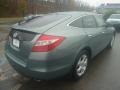 2010 Opal Sage Metallic Honda Accord Crosstour EX-L 4WD  photo #5