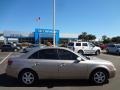Golden Beige - Sonata GLS Photo No. 9
