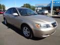 Golden Beige - Sonata GLS Photo No. 10