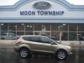 2013 Ginger Ale Metallic Ford Escape SEL 1.6L EcoBoost 4WD  photo #1