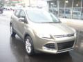 2013 Ginger Ale Metallic Ford Escape SEL 1.6L EcoBoost 4WD  photo #2