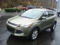 2013 Ginger Ale Metallic Ford Escape SEL 1.6L EcoBoost 4WD  photo #4