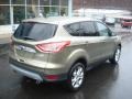2013 Ginger Ale Metallic Ford Escape SEL 1.6L EcoBoost 4WD  photo #8