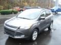 2013 Sterling Gray Metallic Ford Escape SE 2.0L EcoBoost  photo #4