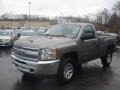 Graystone Metallic - Silverado 1500 LS Regular Cab 4x4 Photo No. 4