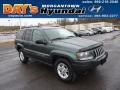 Onyx Green Pearl - Grand Cherokee Laredo 4x4 Photo No. 1