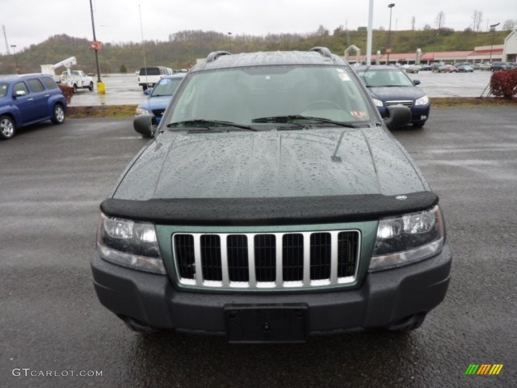 2004 Grand Cherokee Laredo 4x4 - Onyx Green Pearl / Taupe photo #2