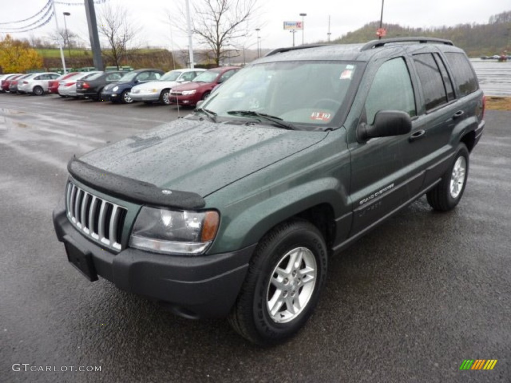 2004 Grand Cherokee Laredo 4x4 - Onyx Green Pearl / Taupe photo #3