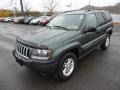 Onyx Green Pearl - Grand Cherokee Laredo 4x4 Photo No. 3