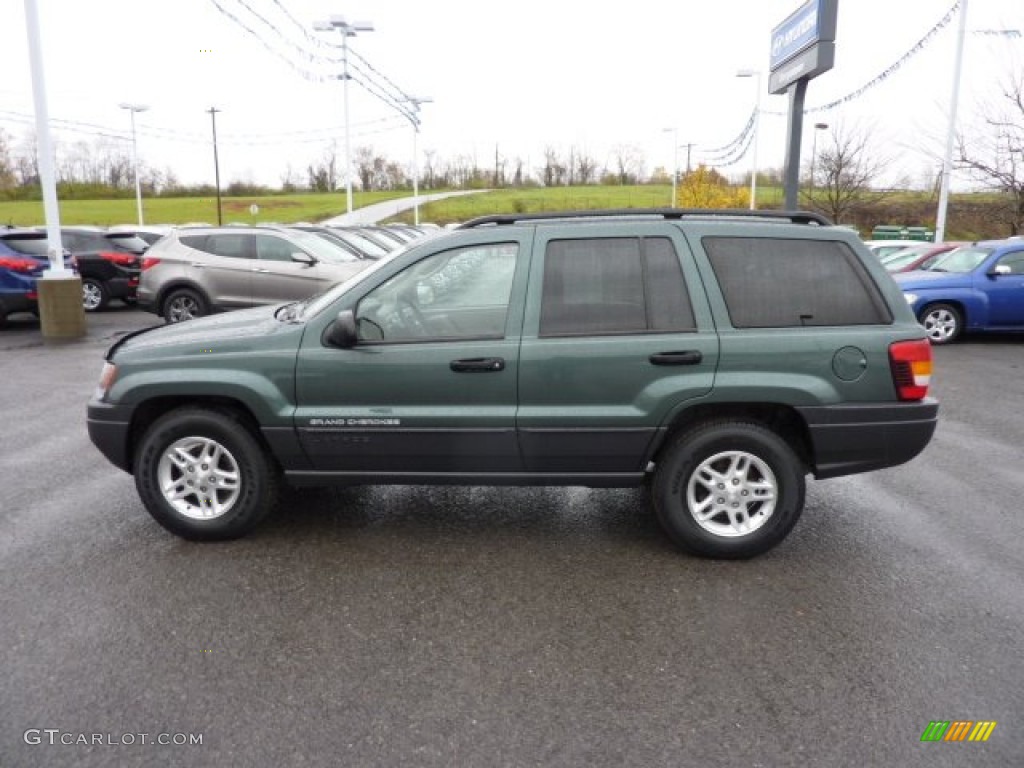 2004 Grand Cherokee Laredo 4x4 - Onyx Green Pearl / Taupe photo #4