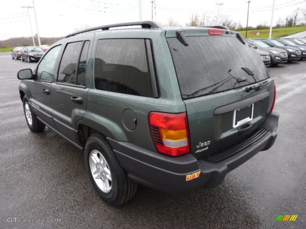 2004 Grand Cherokee Laredo 4x4 - Onyx Green Pearl / Taupe photo #5