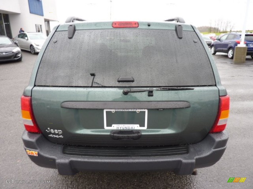 2004 Grand Cherokee Laredo 4x4 - Onyx Green Pearl / Taupe photo #6