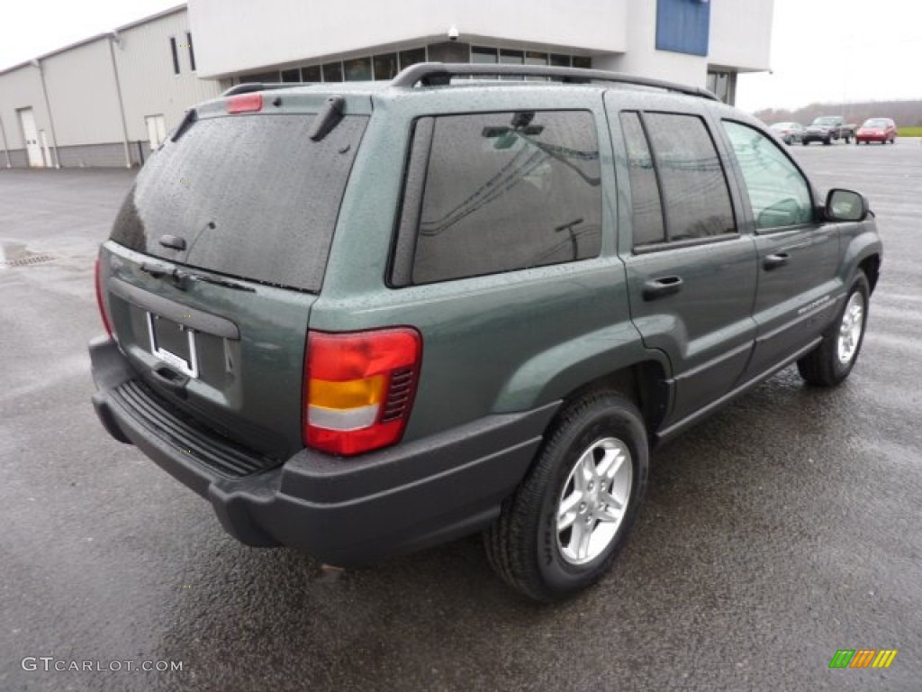 2004 Grand Cherokee Laredo 4x4 - Onyx Green Pearl / Taupe photo #7
