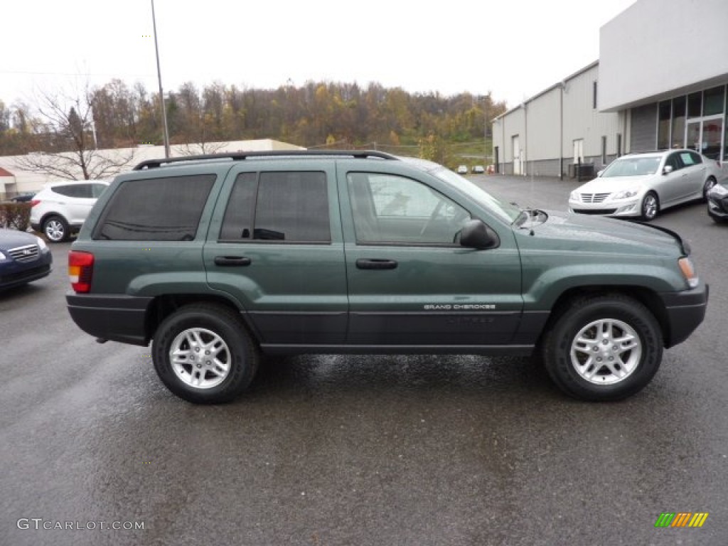 2004 Grand Cherokee Laredo 4x4 - Onyx Green Pearl / Taupe photo #8