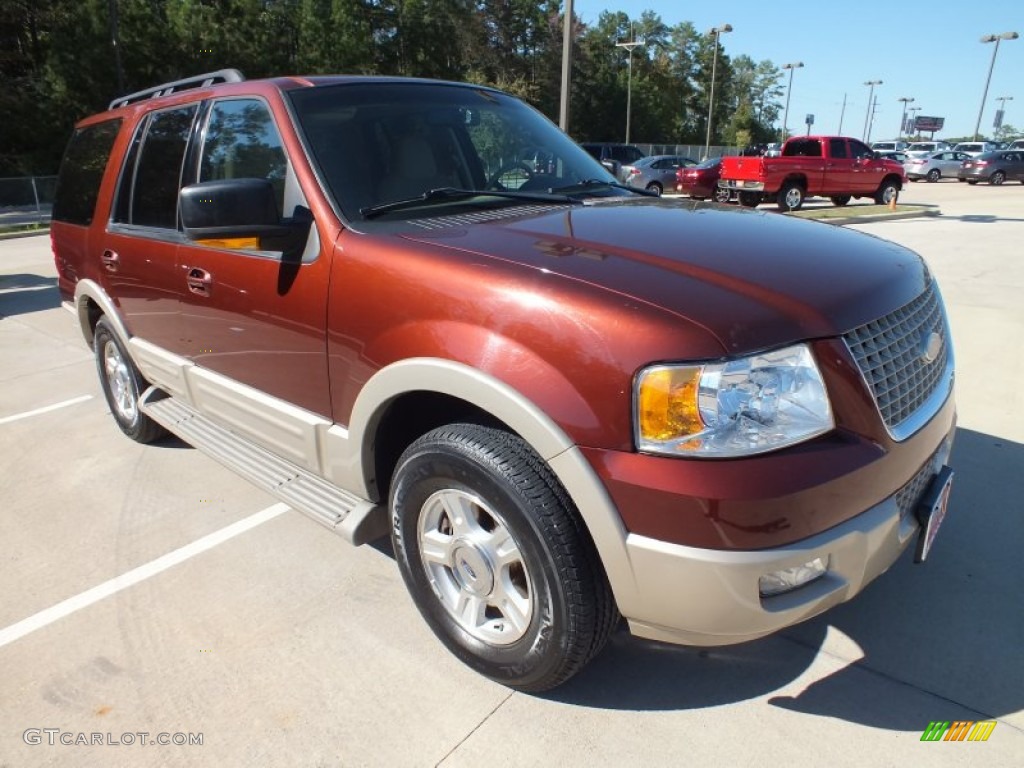 Dark Copper Metallic 2006 Ford Expedition Eddie Bauer Exterior Photo #72909841
