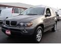 Stratus Grey Metallic - X5 3.0i Photo No. 1