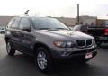 Stratus Grey Metallic - X5 3.0i Photo No. 3