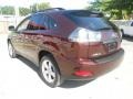 2008 Brandywine Mica Lexus RX 350  photo #5