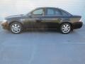 Black Clearcoat - Taurus SEL Photo No. 5