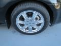 Black Clearcoat - Taurus SEL Photo No. 14