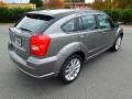 Tungsten Metallic - Caliber SXT Plus Photo No. 4
