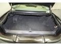 Camel Trunk Photo for 2005 Lincoln LS #72912520