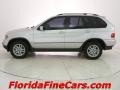 Titanium Silver Metallic - X5 3.0i Photo No. 3