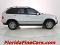 Titanium Silver Metallic - X5 3.0i Photo No. 4