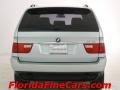 Titanium Silver Metallic - X5 3.0i Photo No. 6