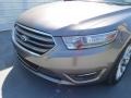 2013 Sterling Gray Metallic Ford Taurus Limited  photo #9