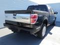 2013 Tuxedo Black Metallic Ford F150 Platinum SuperCrew 4x4  photo #3