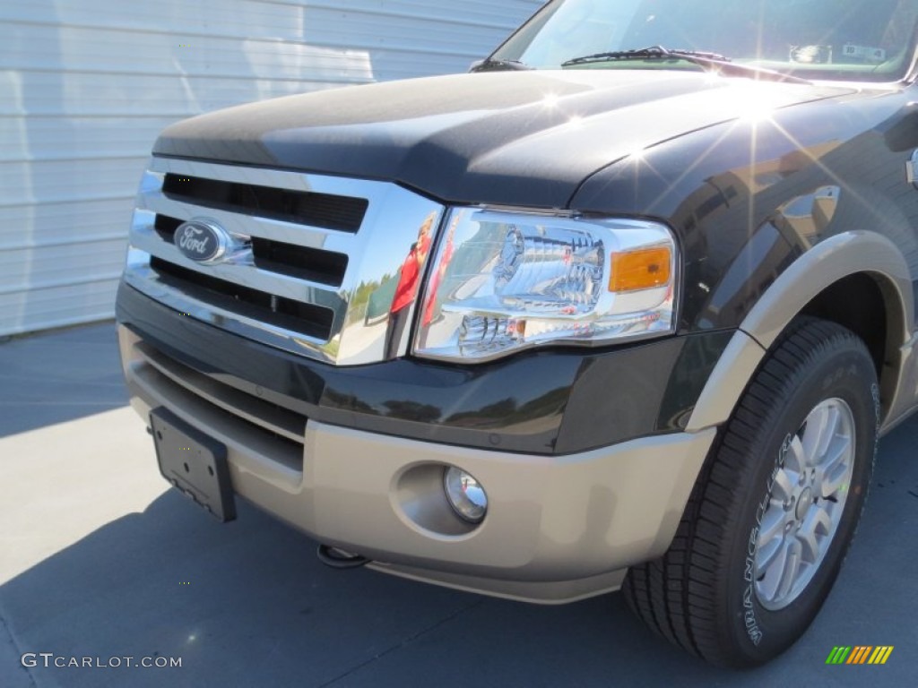 2013 Expedition King Ranch 4x4 - Tuxedo Black / King Ranch Charcoal Black/Chaparral Leather photo #9