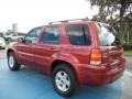 2007 Redfire Metallic Ford Escape Hybrid  photo #3