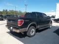 2013 Ruby Red Metallic Ford F150 XLT SuperCrew  photo #74